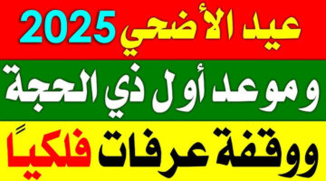 موعد وقفة عرفات 1446