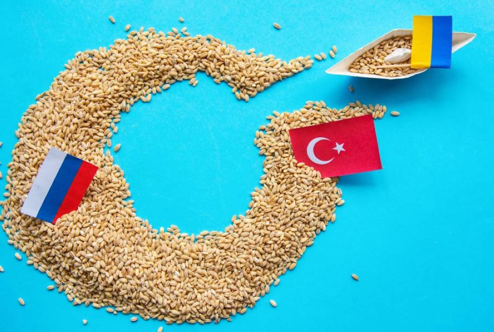 ارتفاع أسعار الذهب في الأسواق العالمية اليوم وتأثيره على جهود تركيا في معالجة أزمات الغذاء والطاقة 2 ارتفاع أسعار الذهب في الأسواق العالمية اليوم وتأثيره على جهود تركيا في معالجة أزمات الغذاء والطاقة